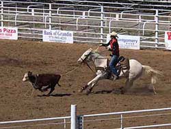 Kailey Schmidt Roping