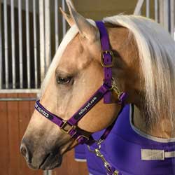 Personalized Halter