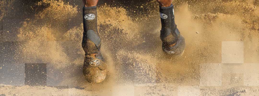 Professional's Choice Horse Boots Adequan Equine Happy Trails