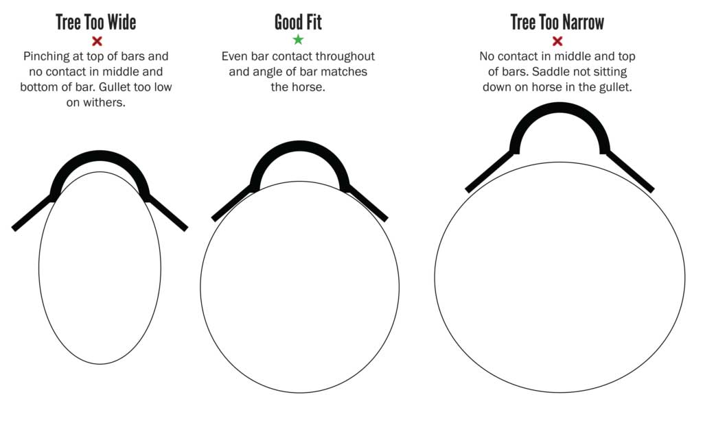 Saddle Fit Illustraction