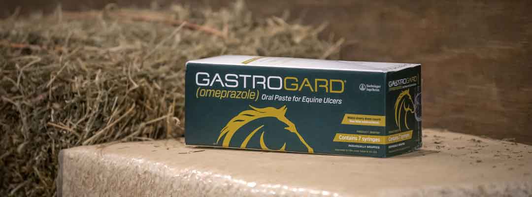 Gastrogard GastroGard
