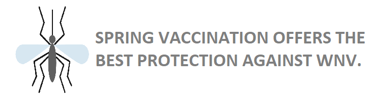 Spring Vaccination Protect Against WNV
