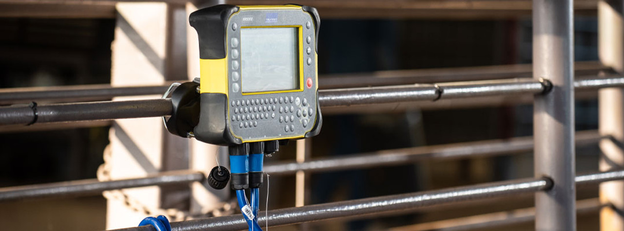 Livestock Scales 101