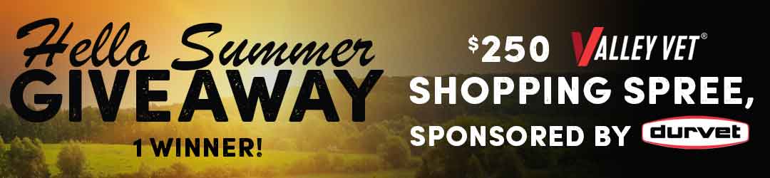 Hello Summer Giveaway