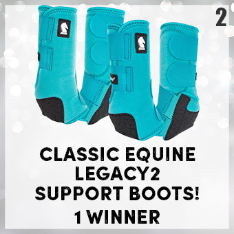 Classic Equine Legacy2 Support Boots - 1 winner
