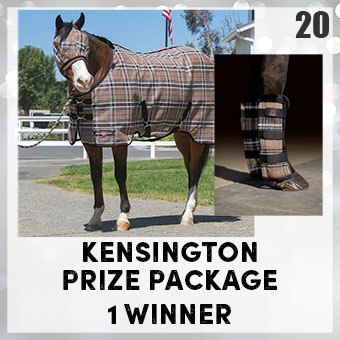 Kensington Prize Package - 1 winner