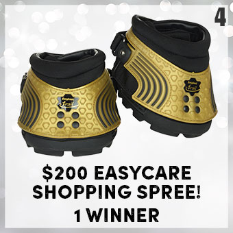 $200 EasyCare Shopping Spree - 1 winner
