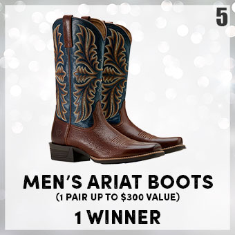 Mens Ariat Boots - 1 pair up to $300 value - 1 winner