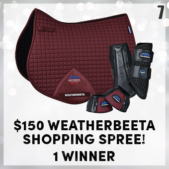 $150 Weatherbeeta Shopping Spree - 1 winner