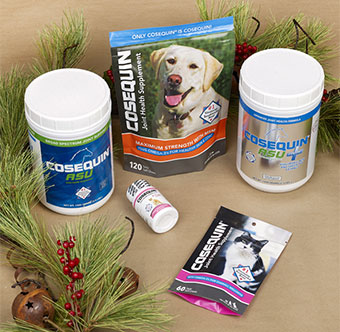 Keep your horses and dogs in tip top shape!