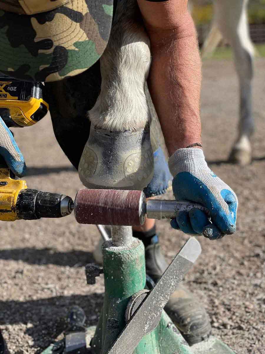 Hoof Seminar