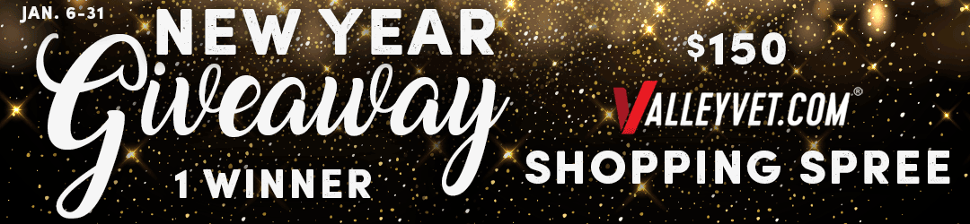 Kick Off the New Year with a $150 Shopping Spree!