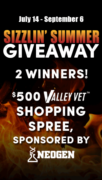 Sizzlin Summer Giveaway