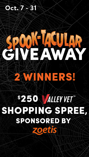 Spooktacular Giveaway