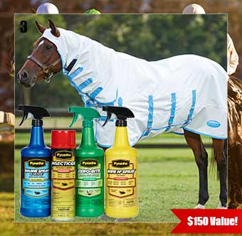 3 Off To the Races Sweepstakes
