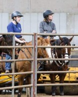 Why Wear A Helmet Leslie Barrel Racer