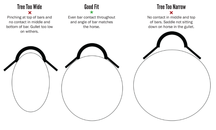 Saddle Fit Illustraction