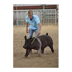 Pig Bat Lime Zest - Item # 10004