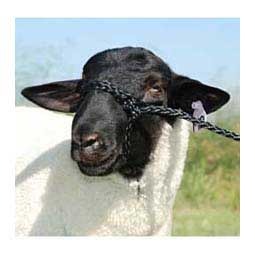 Poly Rope Sheep Halter Black - Item # 10012