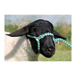 Poly Rope Sheep Halter Green/White - Item # 10012