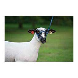 Poly Rope Sheep Halter Blue/Black/Gray - Item # 10012