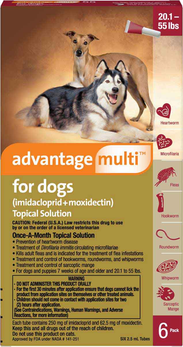 advantage-multi-heartworms-fleas-worms-mange-free-shipping