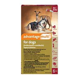 Advantage Multi for Dogs 20-55 lbs 6 ct - Item # 1001RX