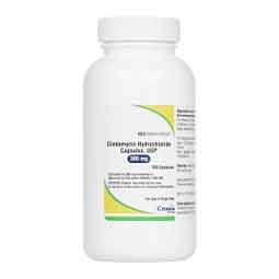 Clindamycin 300 mg 100 ct - Item # 1035RX