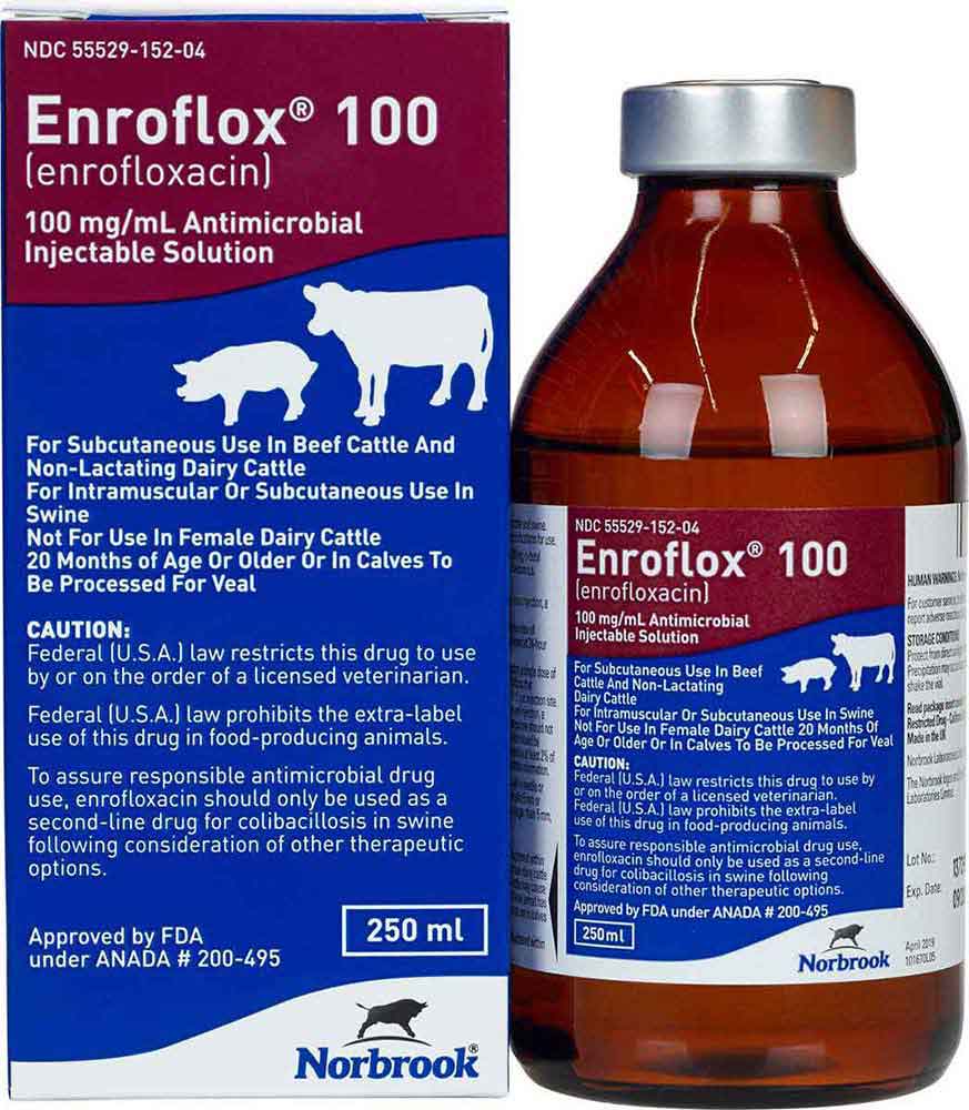 Enroflox 100 for Beef Cattle, Non-Lactating Dairy Cattle & Swine