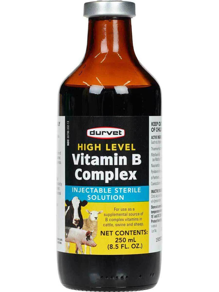 High Level Vitamin B Complex for Animal Use Generic (brand may vary) - Valley Vet Supply | Nutrition High Level Vitamin B Complex for Animal Use Generic (brand may vary) - Valley Vet Supply | Nutrition