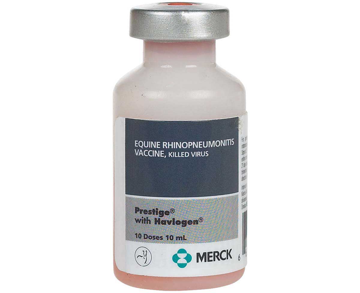 Prestige EHV 1 EHV 4 Equine Vaccine Merck Rhino EHV Vaccines prestige-ehv-1-ehv-4-equine-vaccine-merck-rhino-ehv-vaccines