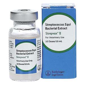 Strepvax II (Strangles) Equine Vaccine 10 dose - Item # 11808
