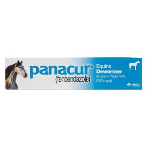 Panacur Equine Paste Horse Dewormer Single dose - Item # 11810