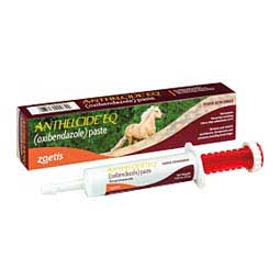 Anthelcide EQ Paste Horse Dewormer Single dose - Item # 11812