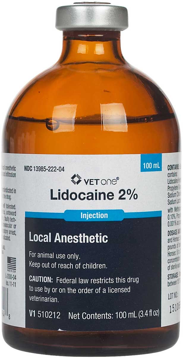 Lidocaine 2% for Animal Use Generic (brand may vary) - Safe.Pharmacy