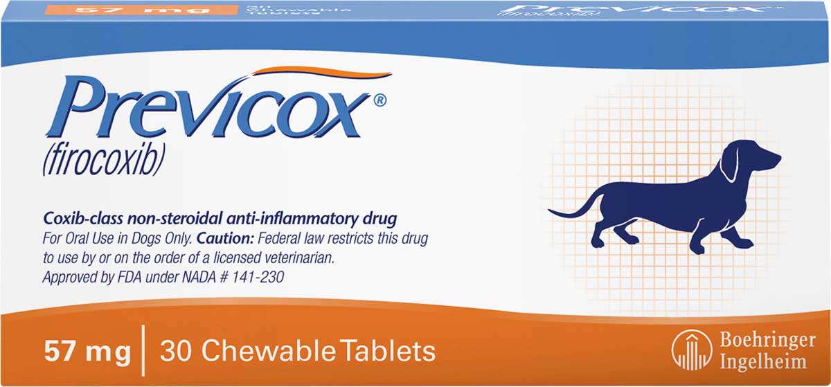 Previcox For Dogs Uses And Are There Any Benefits Innovet Pet Previcox For Dogs Uses And Are There Any Benefits Innovet Pet