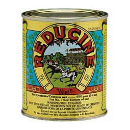 Reducine Absorbent 16 oz - Item # 12204