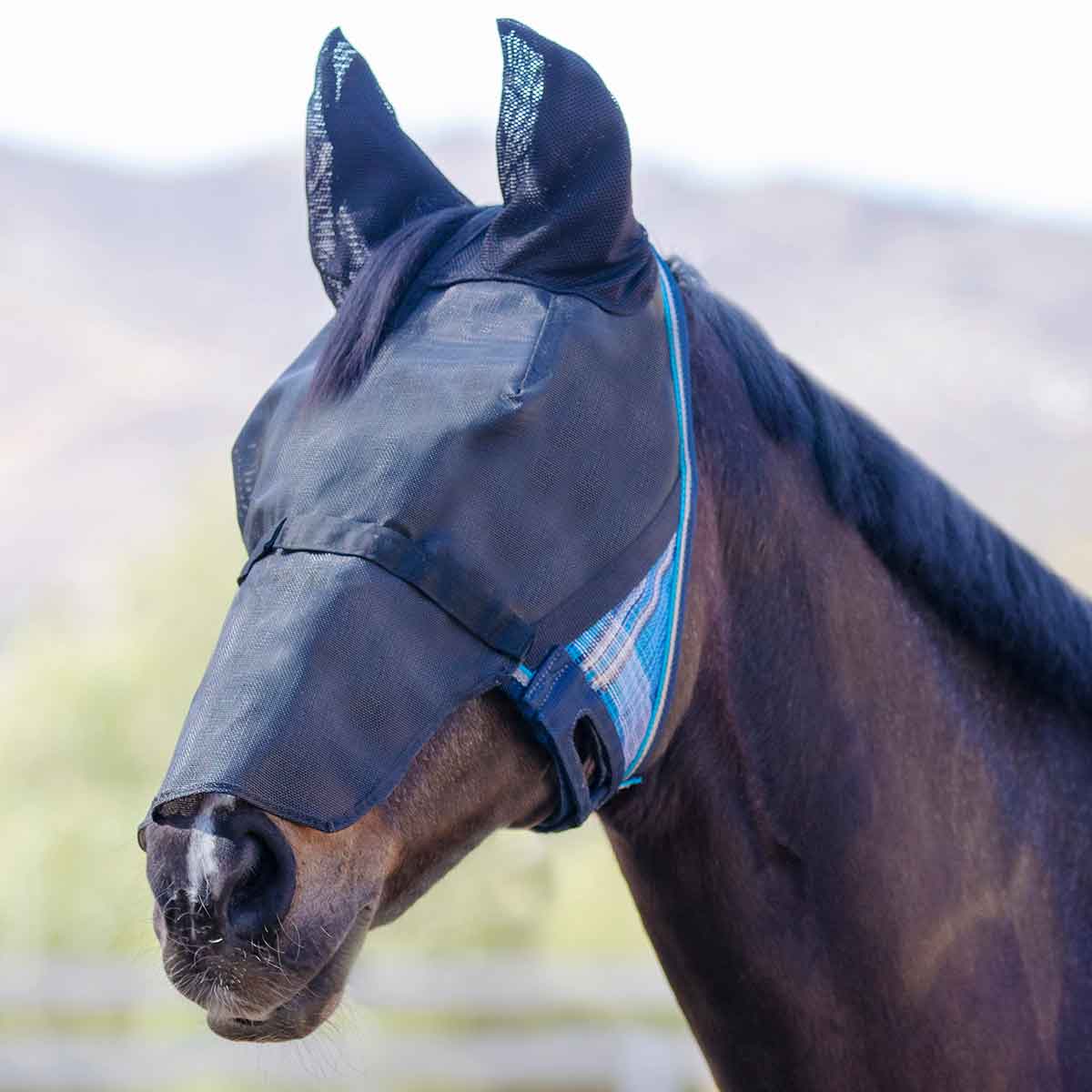 Valley Vet - UViator CatchMask Horse Fly Mask with Ears and Removable ...