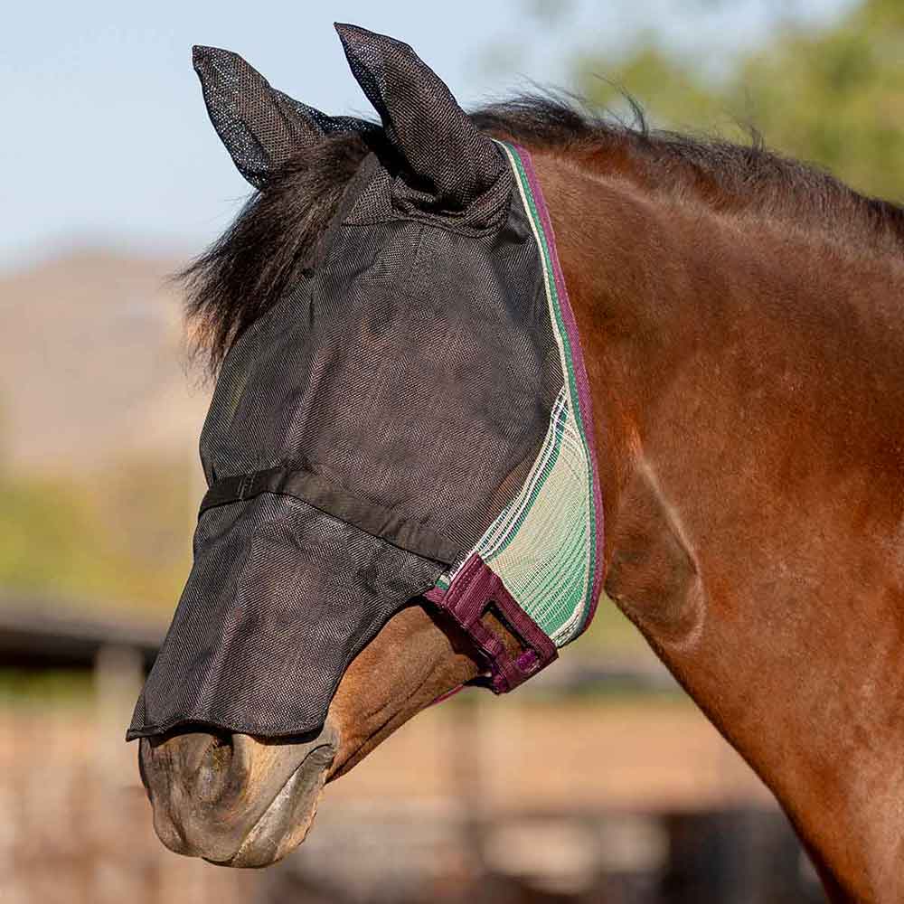 Valley Vet - UViator CatchMask Horse Fly Mask with Ears and Removable ...