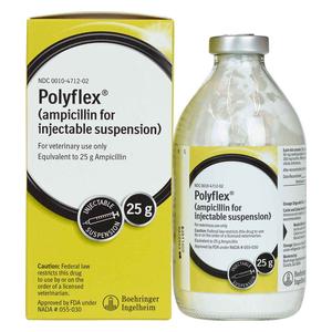 Polyflex Ampicillin for Cattle, Dogs and Cats 25 gm - Item # 122RX