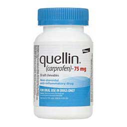 Quellin Carprofen for Dogs (compares to Rimadyl) 75 mg 30 ct - Item # 1236RX
