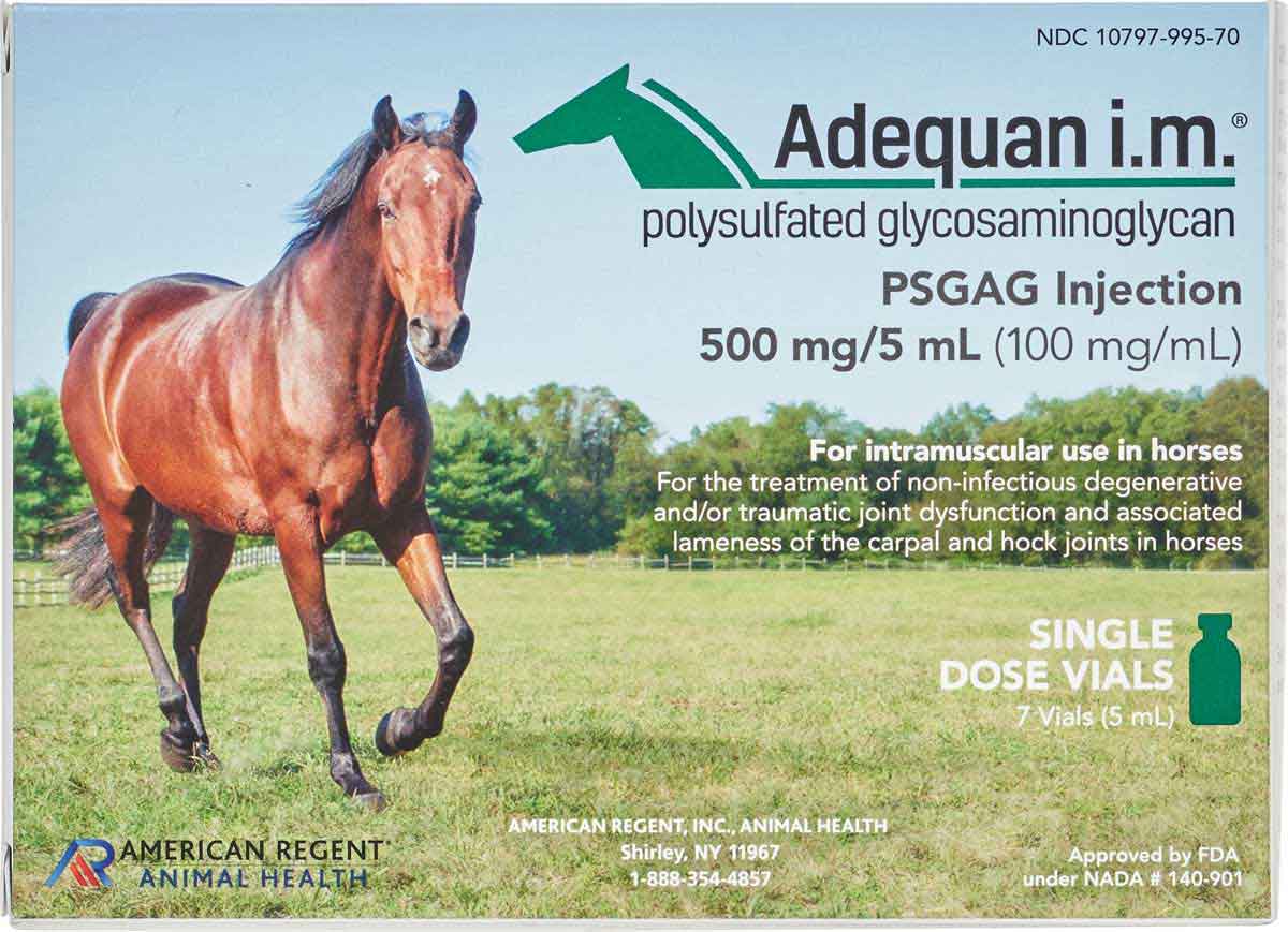 Adequan I M Equine American Regent Safe Pharmacy Joint Dysfunction Horse Rx Equine