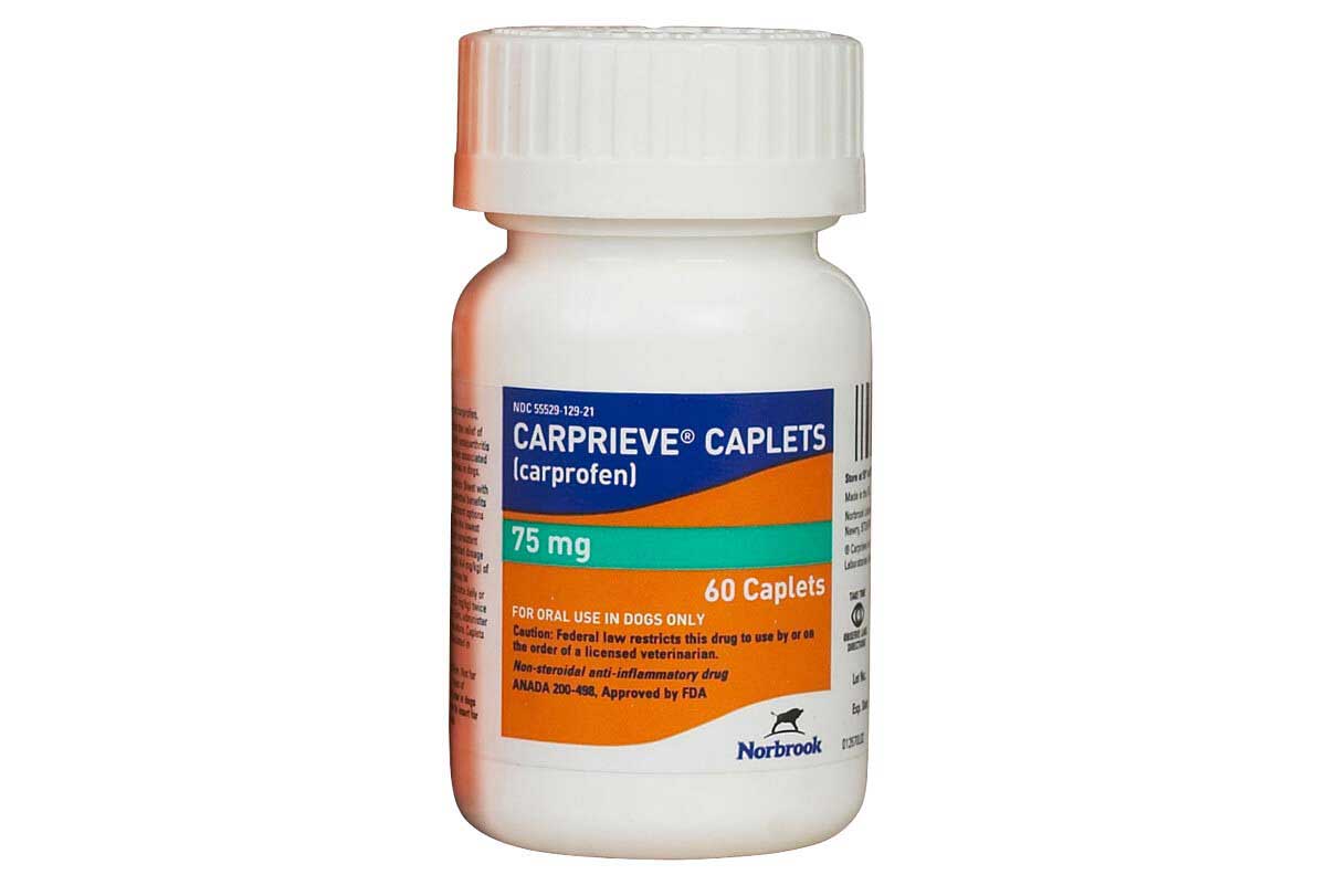 carprieve dosage for dogs