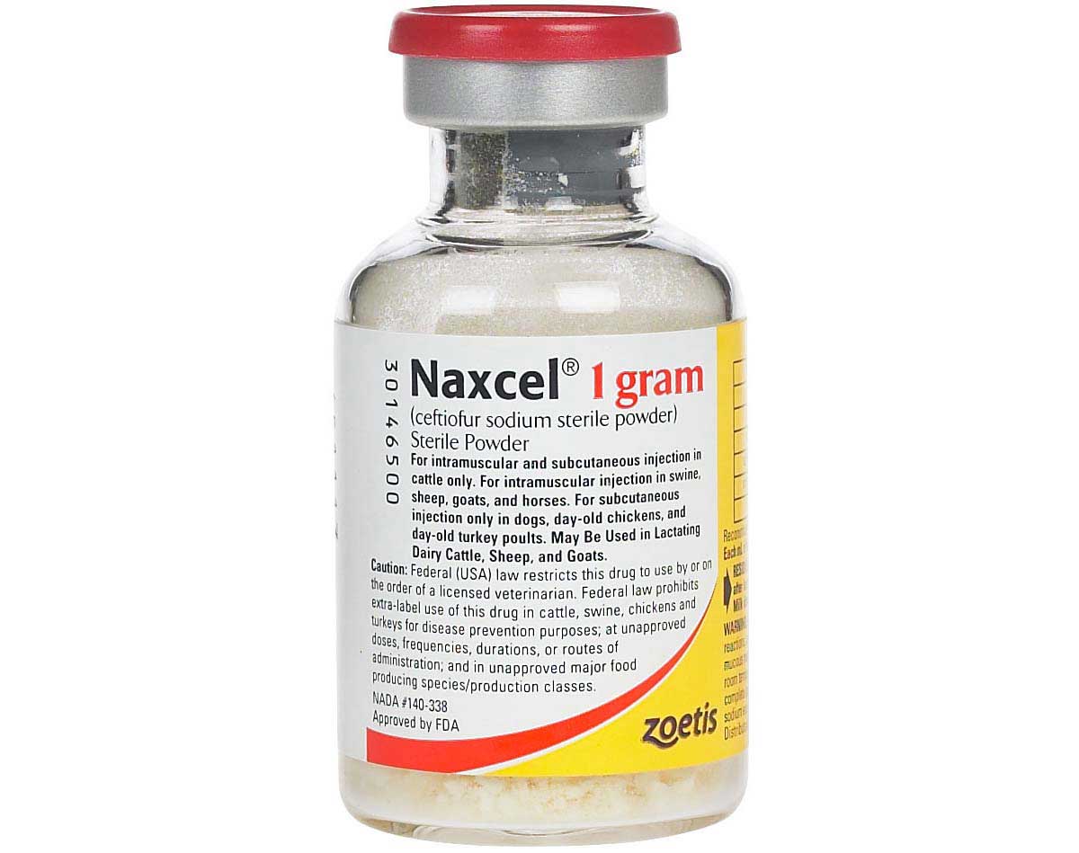 Valley Vet - Naxcel for Multiple Species of Animals Zoetis Animal ...