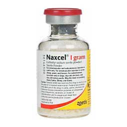 Naxcel for Multiple Species of Animals 1 gm powder only - Item # 1265RX