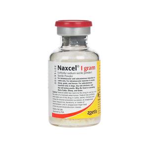 Valley Vet - Naxcel for Multiple Species of Animals Zoetis Animal ...