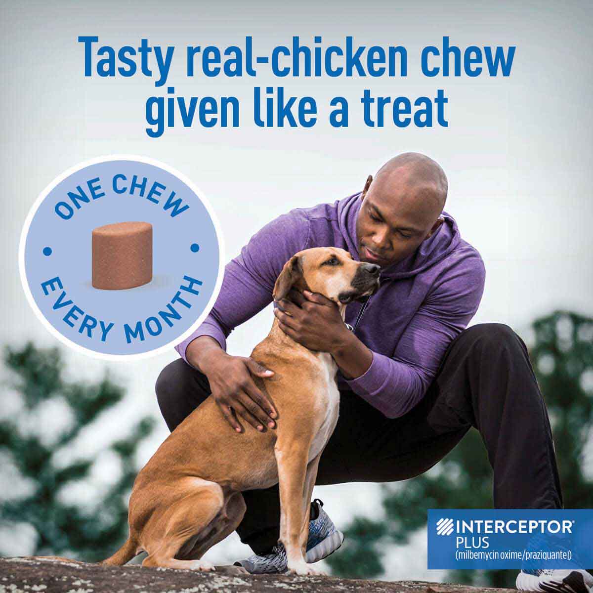 Interceptor Plus For Dogs Elanco Animal Health Safe Pharmacy interceptor-plus-for-dogs-elanco-animal-health-safe-pharmacy