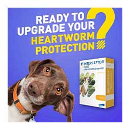 Interceptor Plus for Dogs 2-8 lbs 6 ct - Item # 1317RX