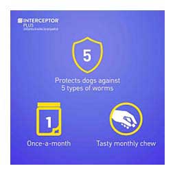 Interceptor Plus for Dogs 2-8 lbs 6 ct - Item # 1317RX