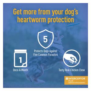 Interceptor Plus for Dogs 2-8 lbs 6 ct - Item # 1317RX